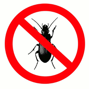 4 Pest Prevention Tips for Your Portland Oregon Rental Property